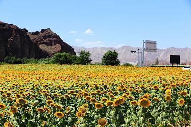 下一代《使命召唤》消息爆出 舞台或将位于朝鲜半岛