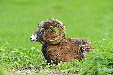 《Apex英雄》宣布将调整货币全球售价 国区或受影响