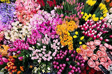 《原子之心》DLC湮灭本能现已正式上市